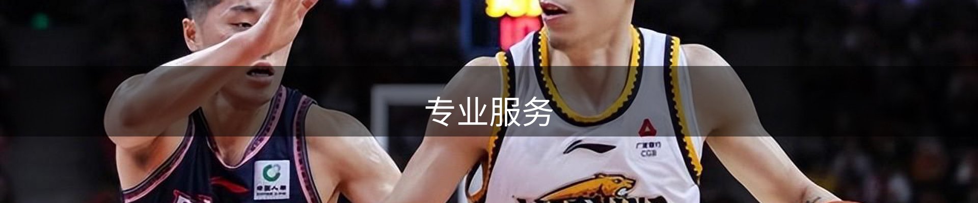 专业服务